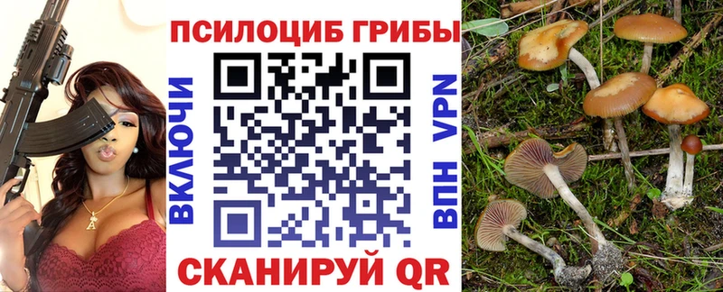 Галлюциногенные грибы Magic Shrooms  Жирновск 